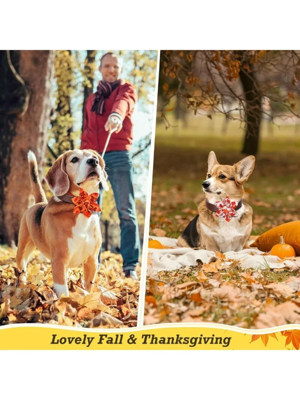 120 Pcs Fall Dog Collar Flowers & Bow Ties - Thanksgiving Pet Accessories for